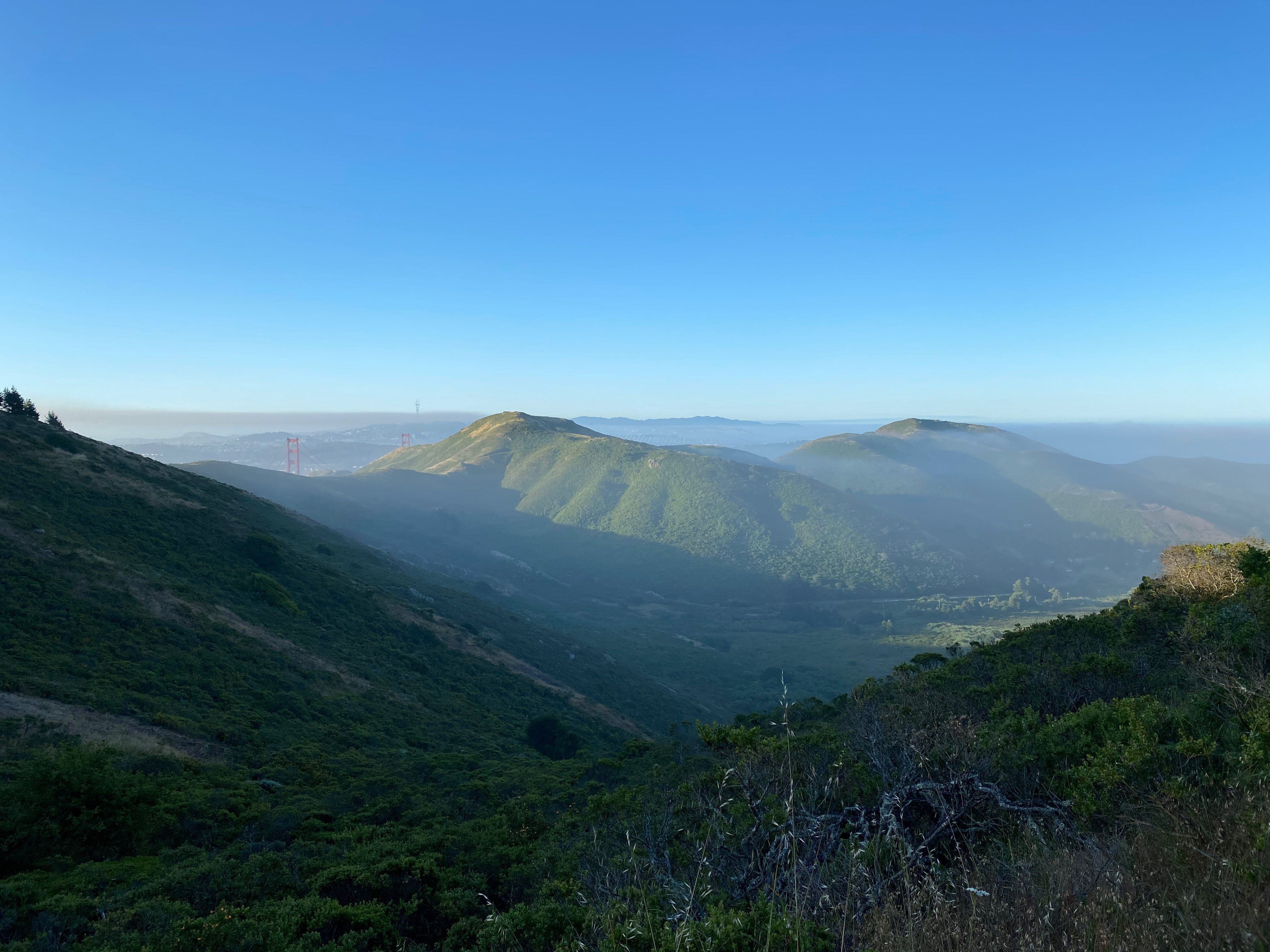 View of the Golden Gate Bridge from the SCA Trail